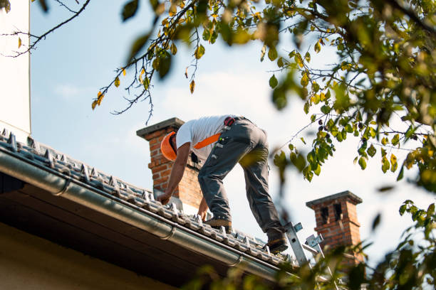 Best Roof Gutter Cleaning  in West New York, NJ